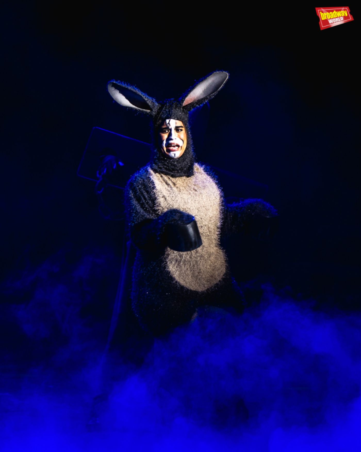 Photos: First Look at SHREK at the Newport Performing Arts Theatre  Image