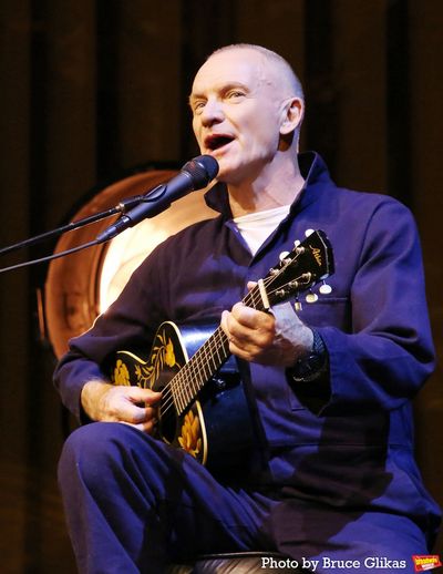 Sting Photo
