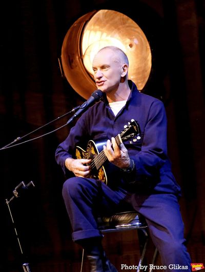 Sting Photo
