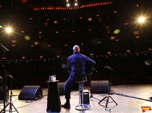 Sting Photo