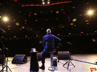 Sting Photo