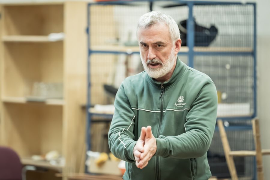 Photos: Nicola Caughlan and More in THE PLAYBOY OF THE WESTERN WORLD Rehearsals Image