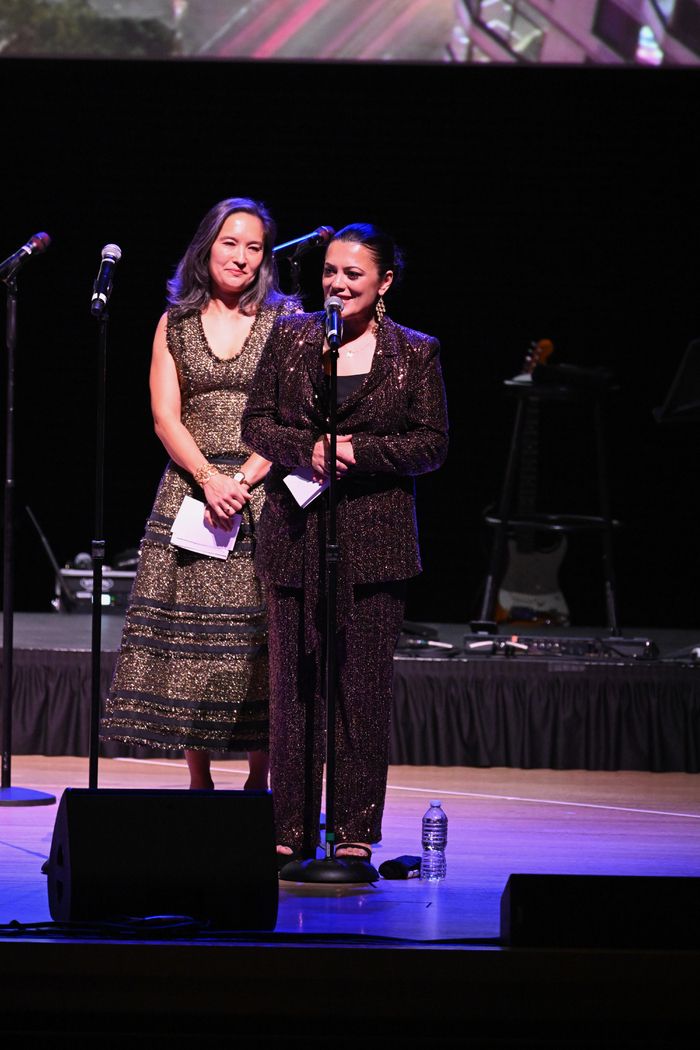 Photos: Lincoln Center Fall Gala Honored Bayo Ogunlesi, Raising Over .7 Million — photo 20 of 40