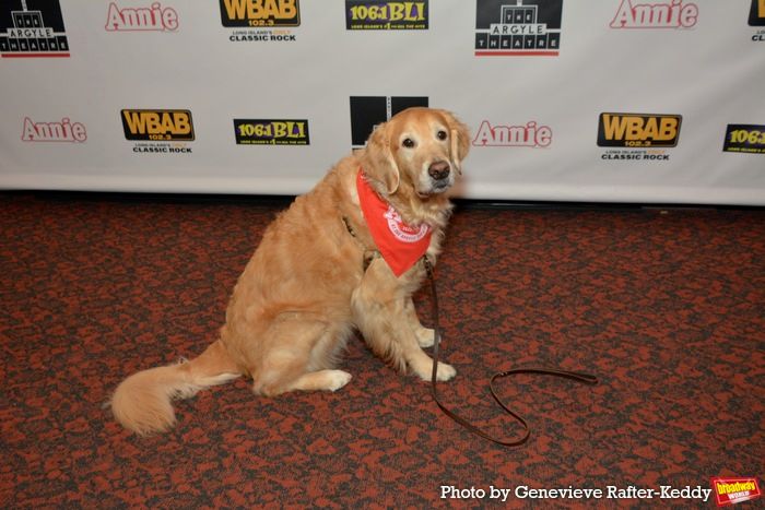 Photos: ANNIE Opens at The Argyle Theatre Photos: ANNIE Opens at The Argyle Theatre Image