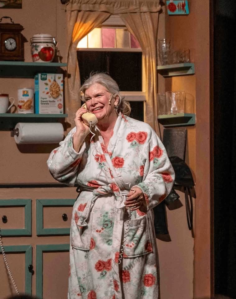 Review: THE ROOMMATE at Desert Ensemble Theatre will make you think  Image