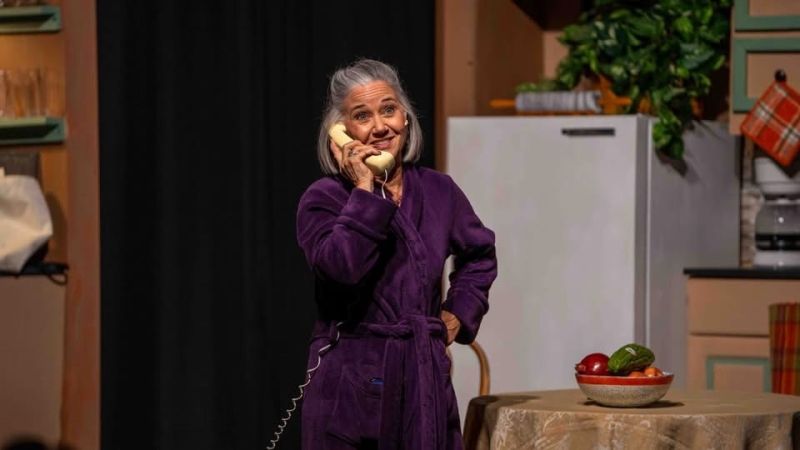 Review: THE ROOMMATE at Desert Ensemble Theatre will make you think  Image