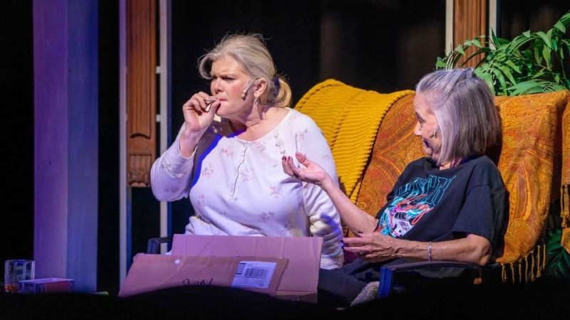 Review: THE ROOMMATE at Desert Ensemble Theatre will make you think  Image