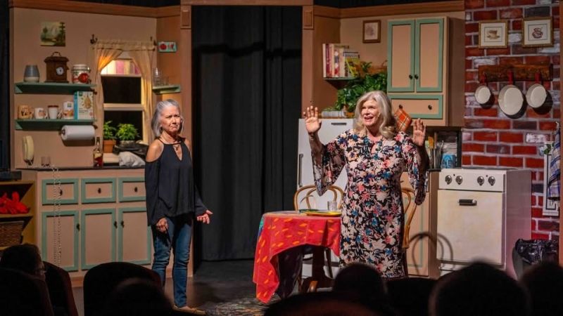 Review: THE ROOMMATE at Desert Ensemble Theatre will make you think  Image