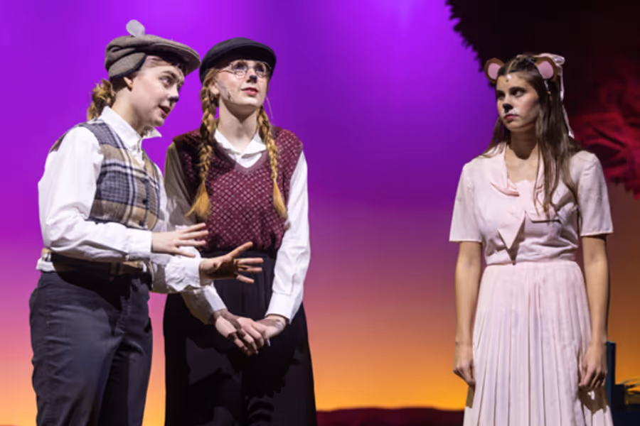 Dublin Jerome Theatre Department presents THE WIND IN THE WILLOWS: YOUNG@PART Image