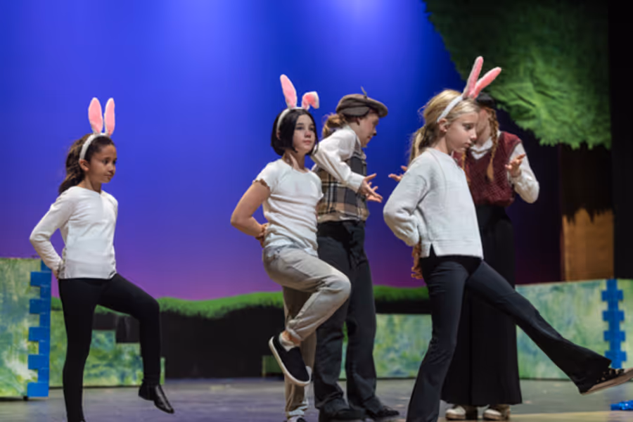 Dublin Jerome Theatre Department presents THE WIND IN THE WILLOWS: YOUNG@PART Image
