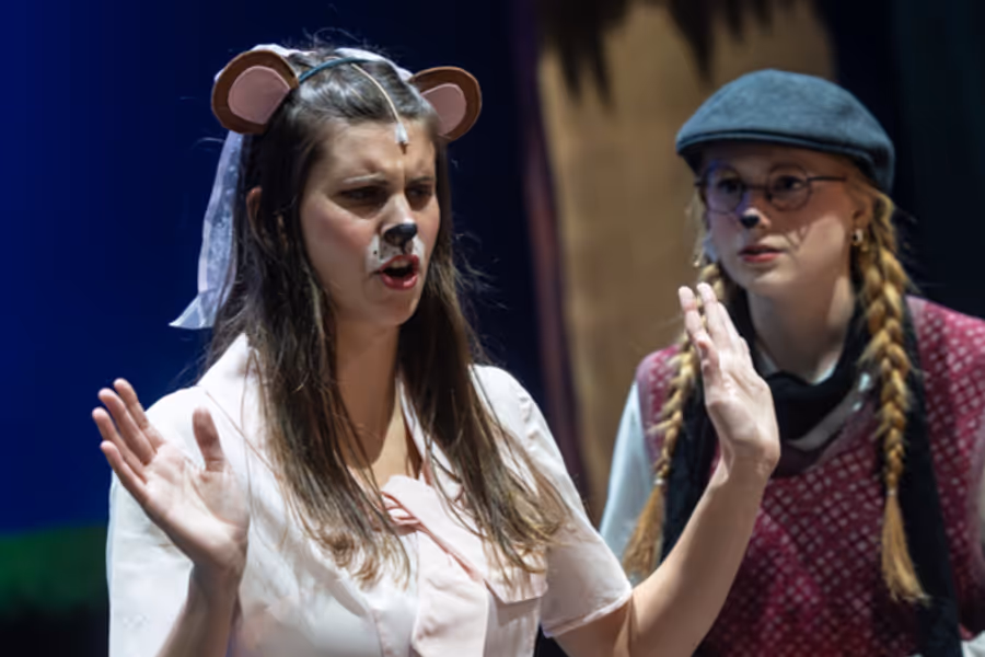 Dublin Jerome Theatre Department presents THE WIND IN THE WILLOWS: YOUNG@PART Image