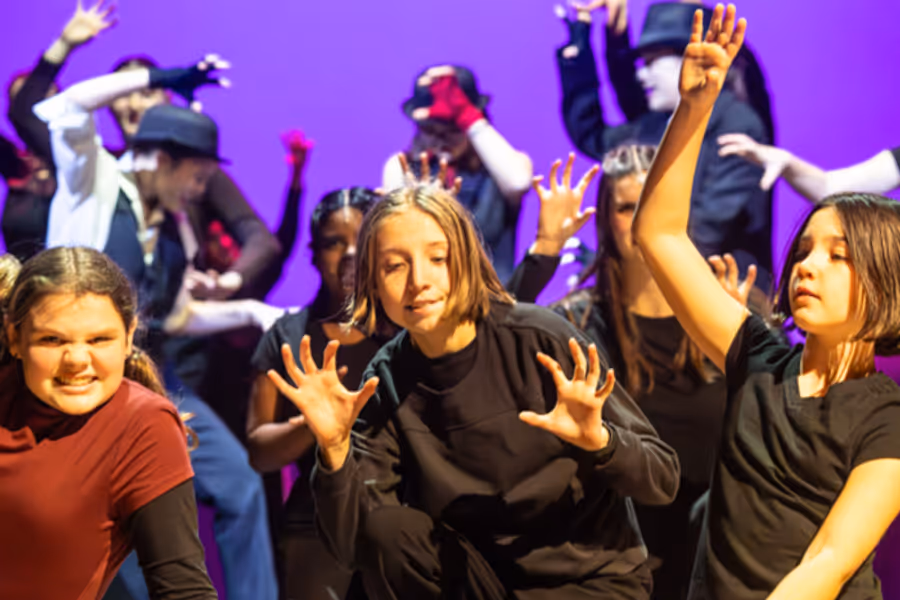 Dublin Jerome Theatre Department presents THE WIND IN THE WILLOWS: YOUNG@PART Image