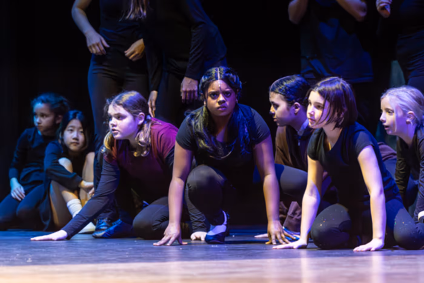 Dublin Jerome Theatre Department presents THE WIND IN THE WILLOWS: YOUNG@PART Dublin Jerome Theatre Department presents THE WIND IN THE WILLOWS: YOUNG@PART Image