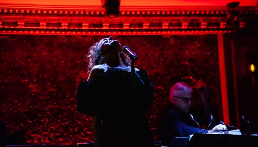 Review: Melissa Errico Debuts THE STREISAND EFFECT at 54 Below Image