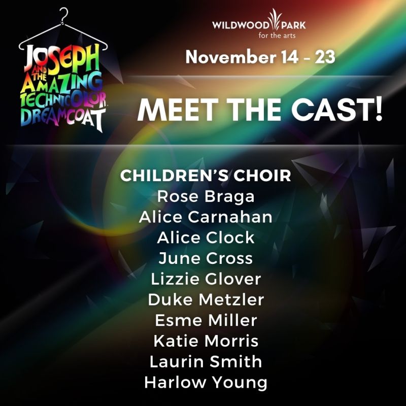 Review: JOSEPH AND THE AMAZING TECHNICOLOR DREAMCOAT at Wildwood Park For The Arts  Image