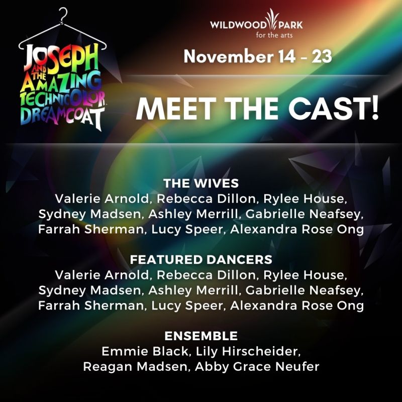 Review: JOSEPH AND THE AMAZING TECHNICOLOR DREAMCOAT at Wildwood Park For The Arts  Image