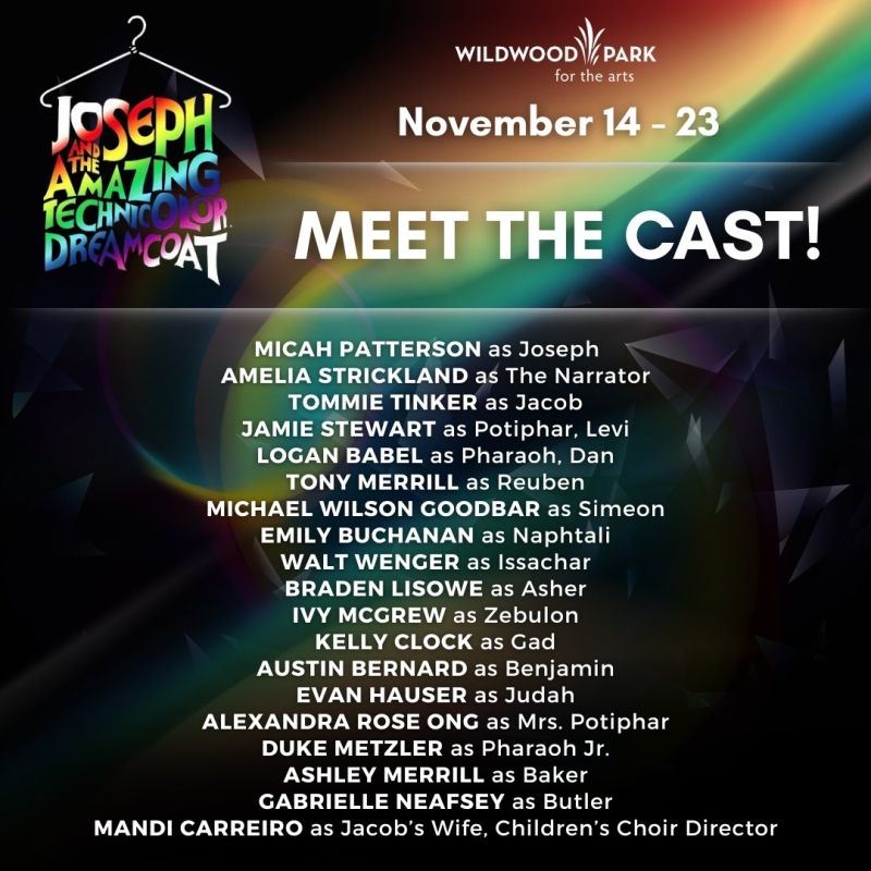 Review: JOSEPH AND THE AMAZING TECHNICOLOR DREAMCOAT at Wildwood Park For The Arts  Image