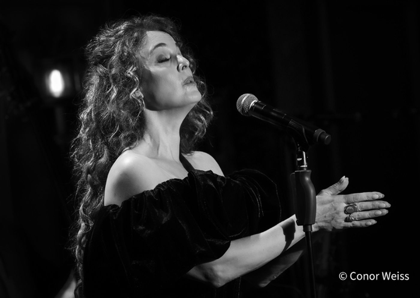 Photos: Melissa Errico's STREISAND EFFECT at 54 Below Is Outstanding Photos: Melissa Errico's STREISAND EFFECT at 54 Below Is Outstanding Image