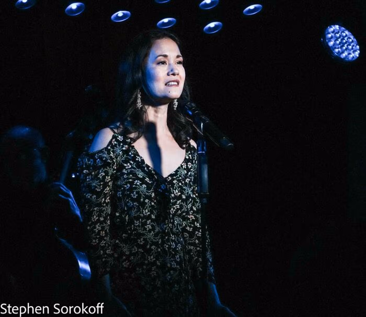 Review: Jamie deRoy Marks 35 Years of JAMIE DEROY & FRIENDS  Image