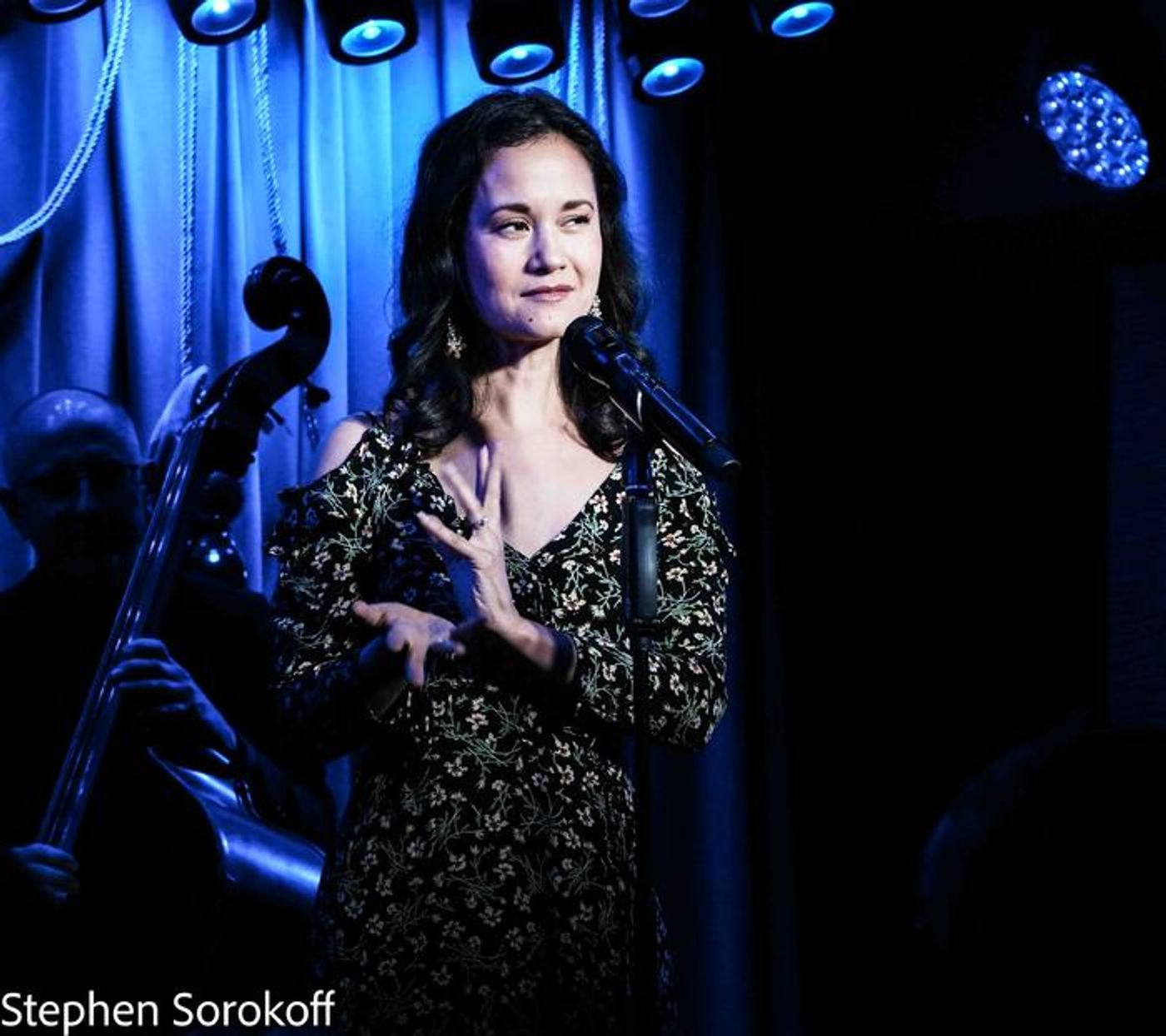 Review: Jamie deRoy Marks 35 Years of JAMIE DEROY & FRIENDS  Image