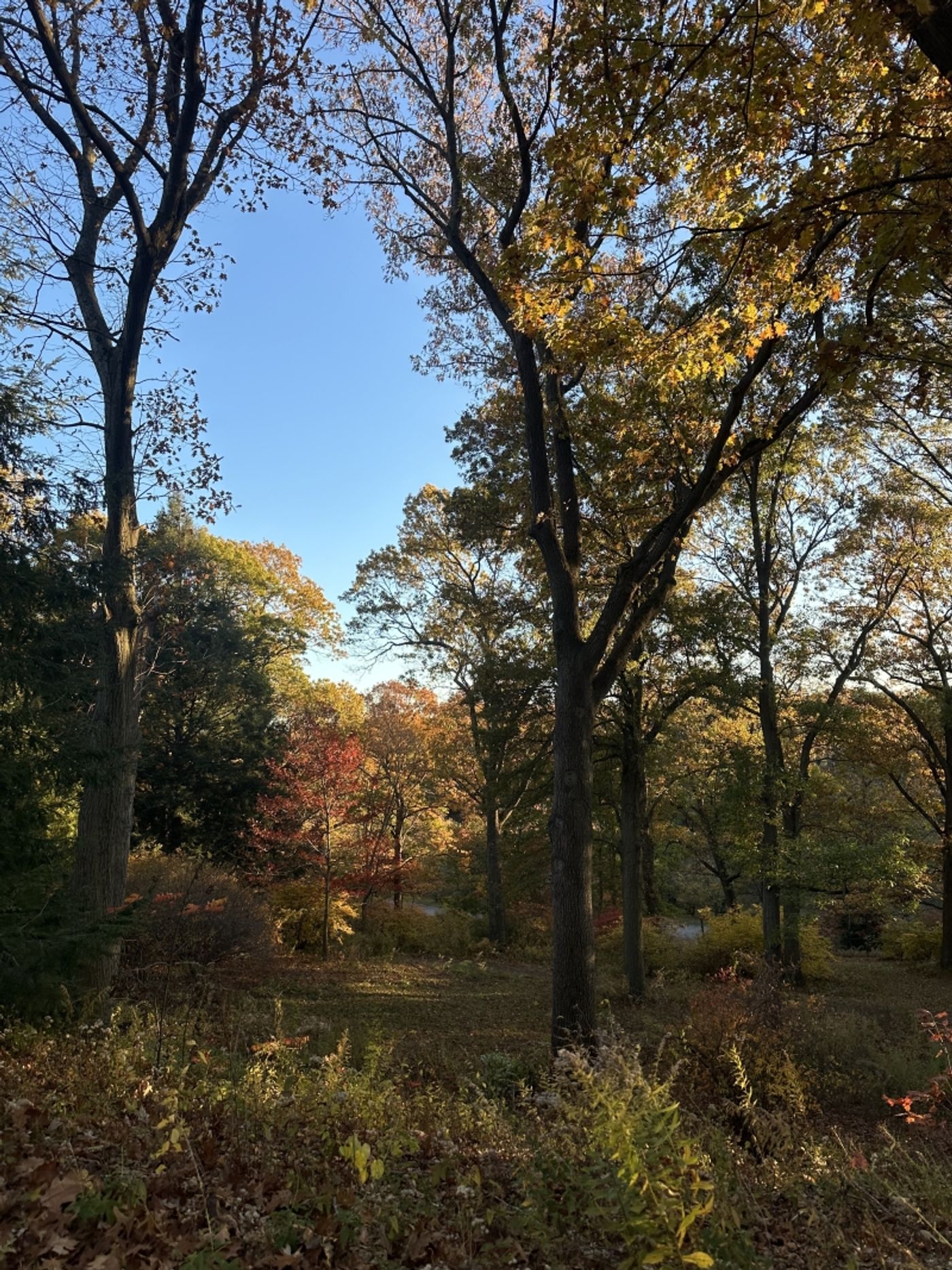 Student Blog: Falling Into Change Student Blog: Falling Into Change Image