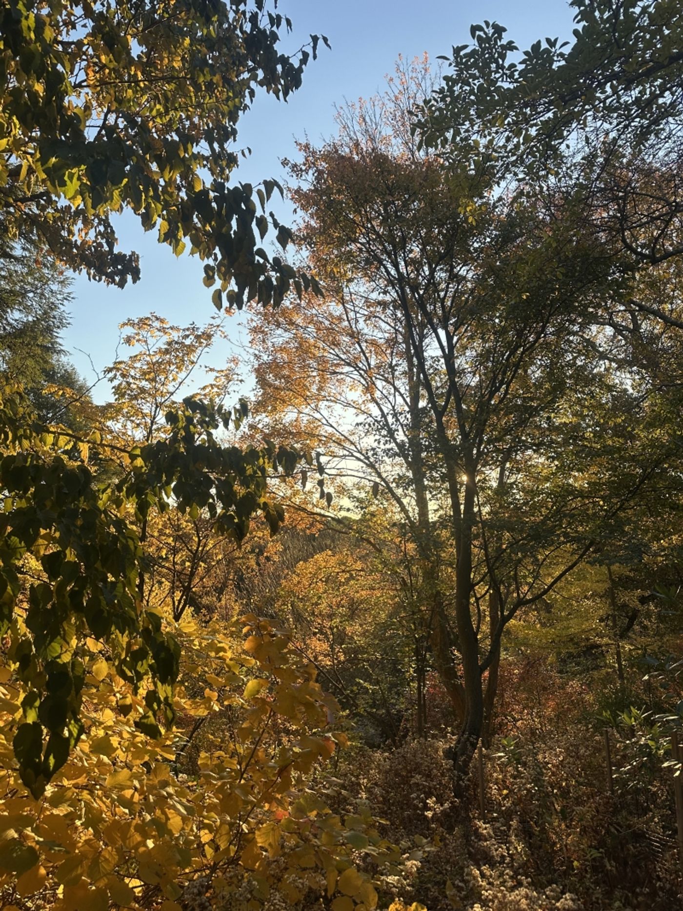 Student Blog: Falling Into Change  Image