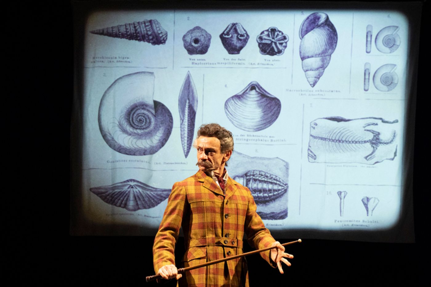 Photos: BALLET SHOES At National Theatre  Image