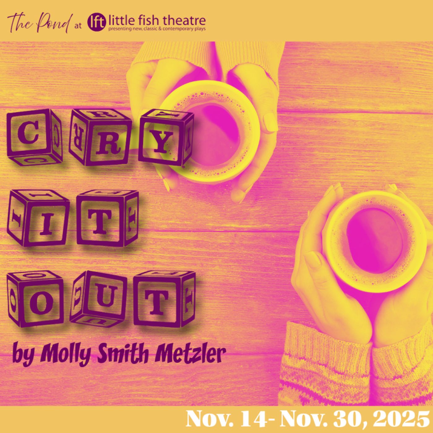 Review: CRY IT OUT BY MOLLY SMITH METZLER at Little Fish Theatre  Image