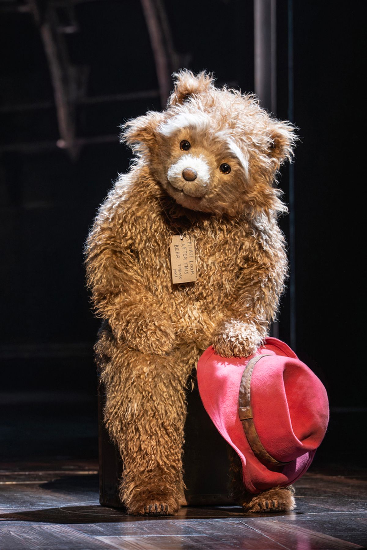 James Hameed and Arti Shah as Paddington at 