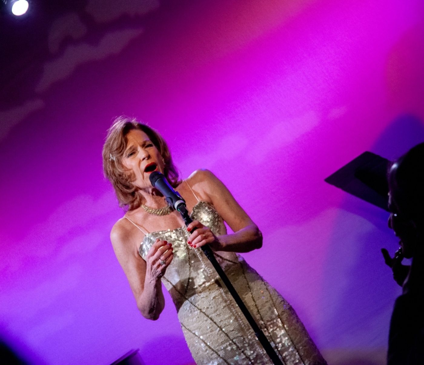 Review: Madelaine Warren Glows With WARREN SINGS FIELDS at Don't Tell Mama  Image