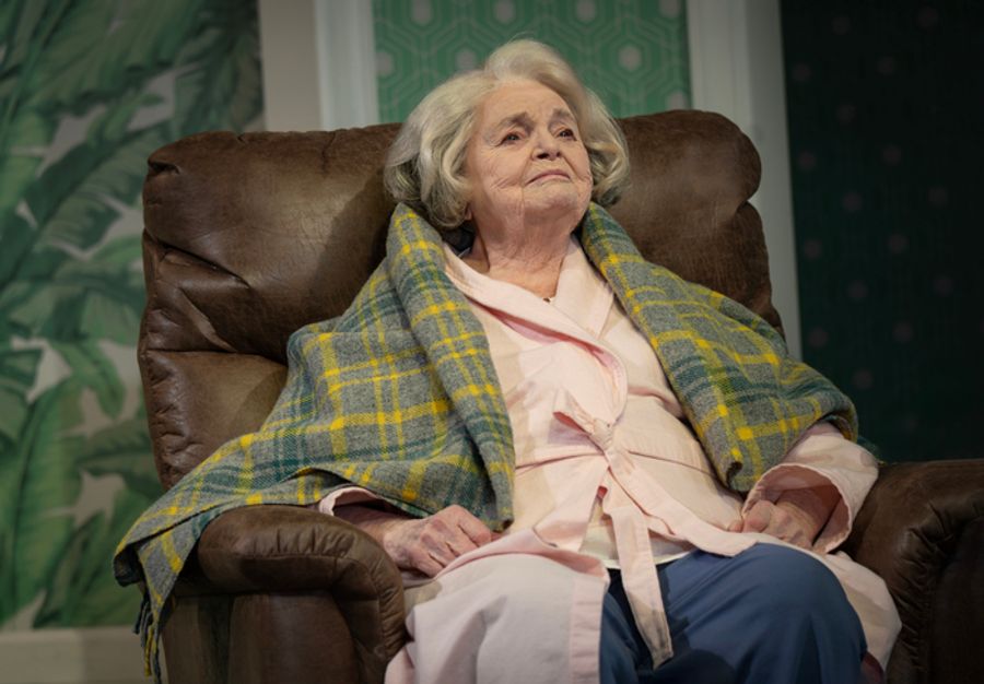 Photos: Cynthia Nixon, June Squibb and More in MARJORIE PRIME Image