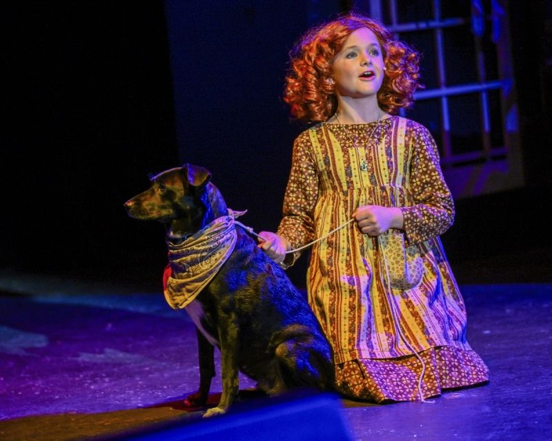 Review: ANNIE at Palm Canyon Theatre  Image