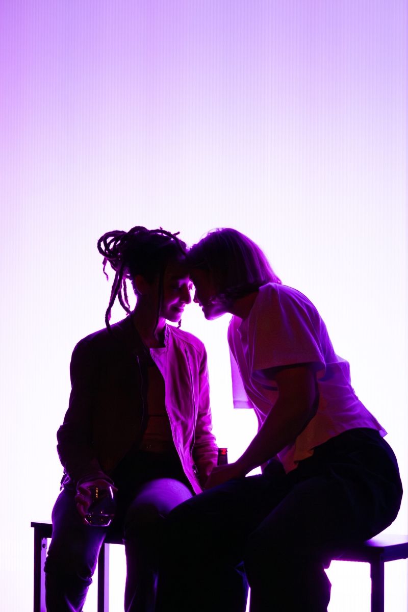 Review: PRIVATE VIEW, Soho Theatre  Image