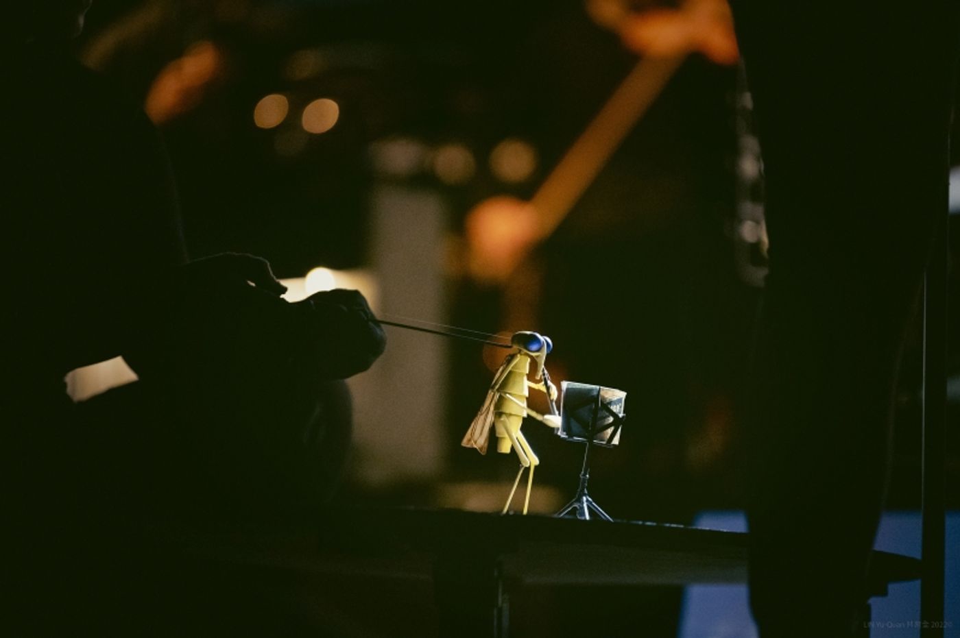 The Storyville Mosquito - Photo by Lin Yu-Quan