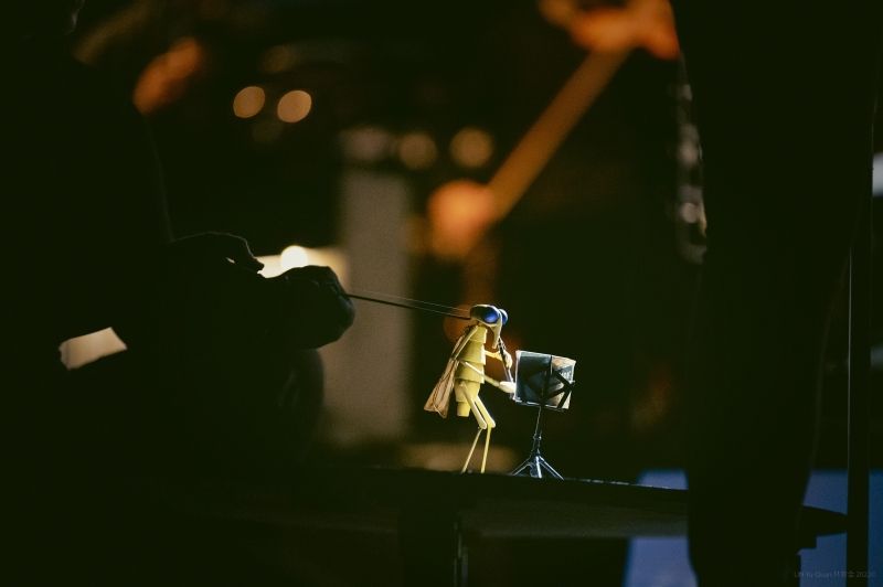 The Storyville Mosquito - Photo by Lin Yu-Quan