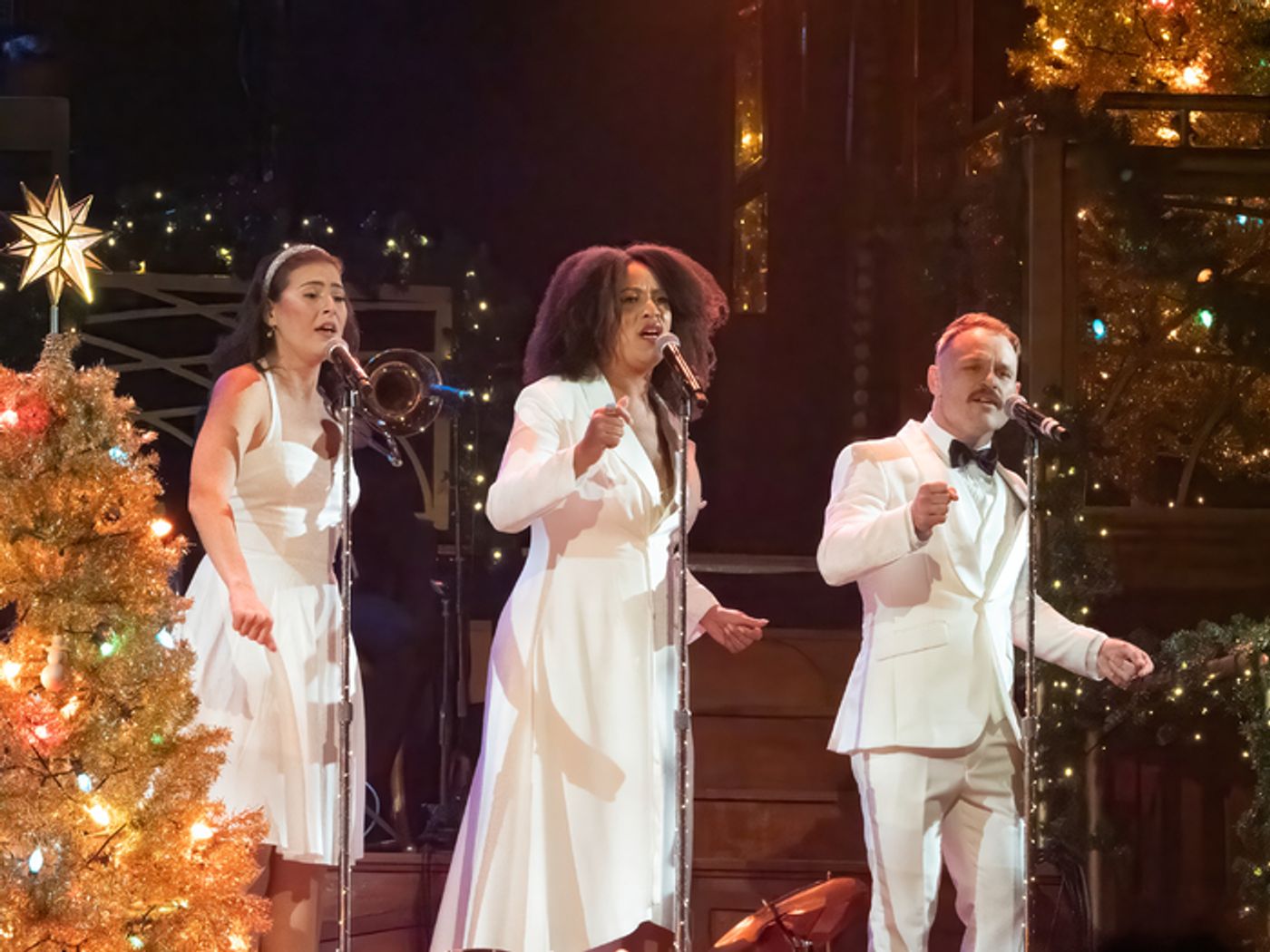 Photos: Opening Night of TINSELCOLOR: HOLIDAY SOUNDTRACKS LIVE At CineVita  Image