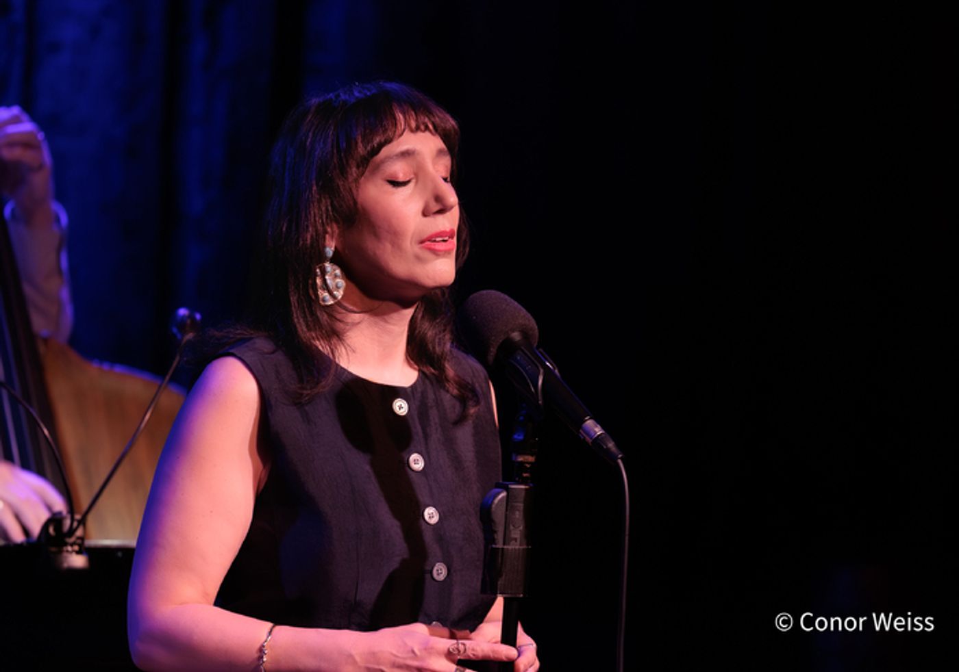 Photos: See Highlights of Gabrielle Stravelli December 6th at Birdland Photos: See Highlights of Gabrielle Stravelli December 6th at Birdland Image