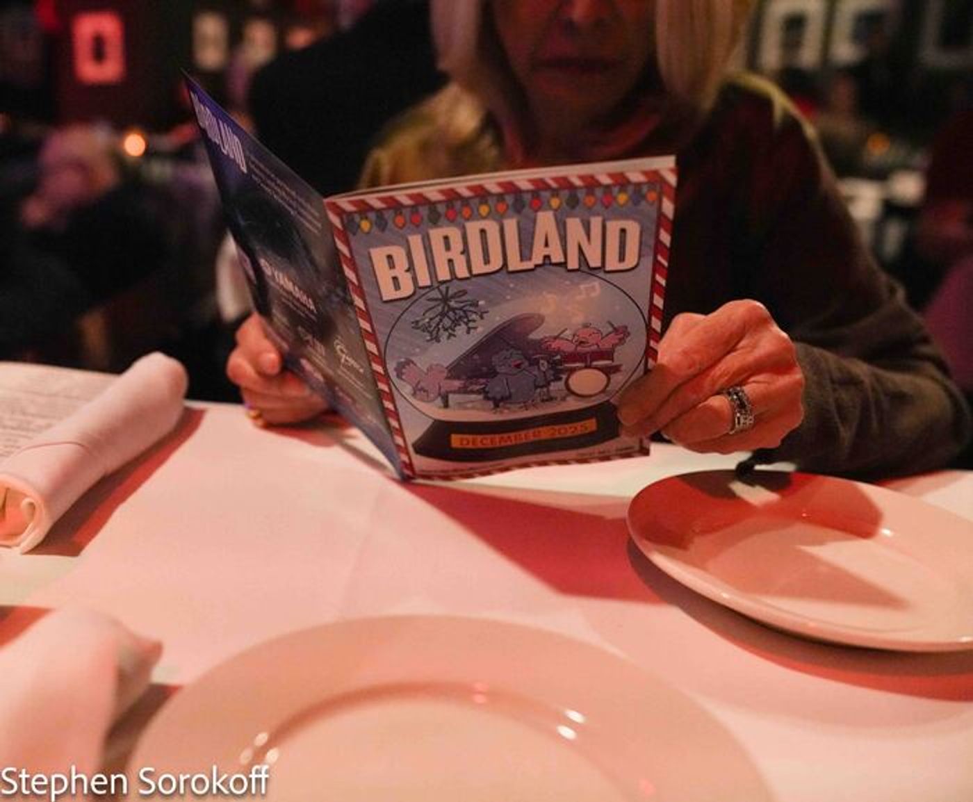 Review: 'WE LOVE THE WINTER WEATHER - An Excellent Weather Outlook at Birdland  Image