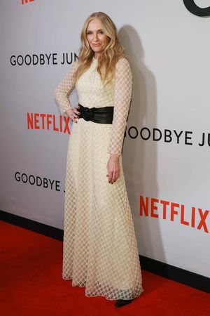 Toni Collette @ BroadwayWorld Toni Collette Photo