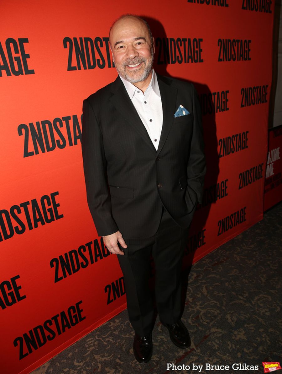 Photos: The Stars of MARJORIE PRIME Hit the Red Carpet On Opening Night  Image