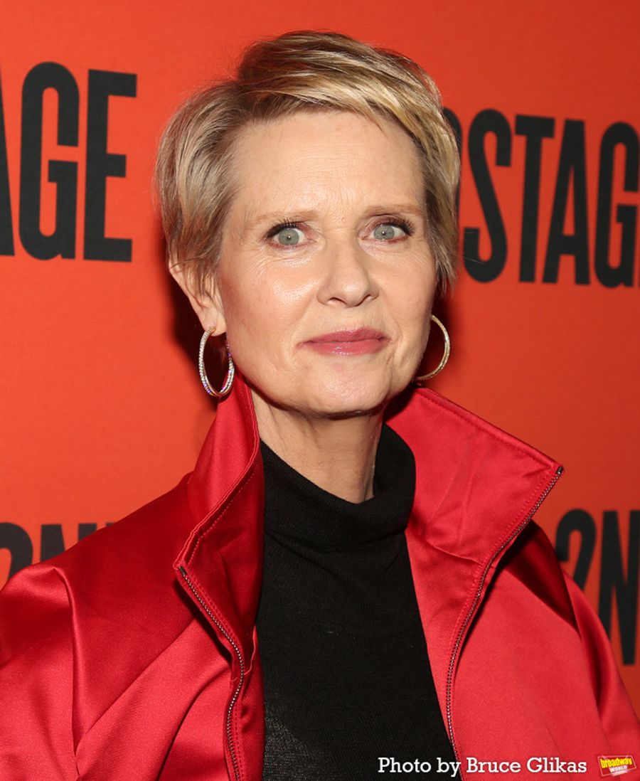 Photos: The Stars of MARJORIE PRIME Hit the Red Carpet On Opening Night  Image