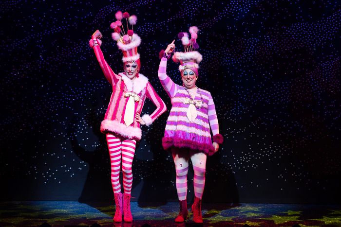 Photos: CINDERELLA Pantomime at the Richmond Theatre — photo 11 of 19