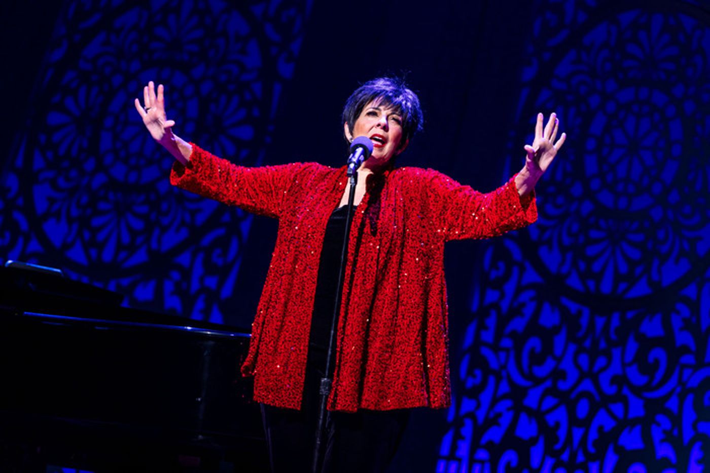 Photos: Red Bucket Follies Raises Record $7,344,304 for Broadway Cares  Image