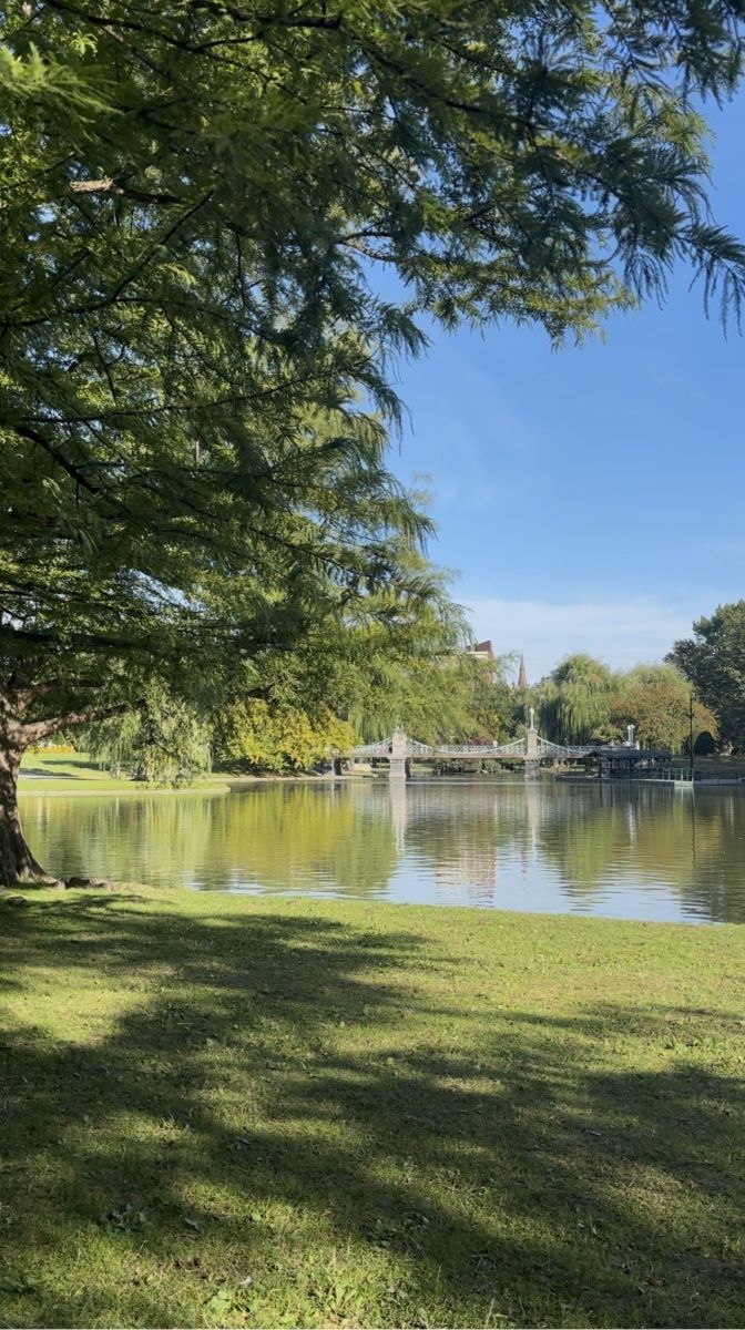 Student Blog: With Sprinkles on Top  Image