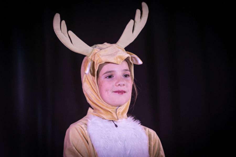 Photos: First look at Rise Up Art Alliance Youth Theatre’s JINGLE JURY Image