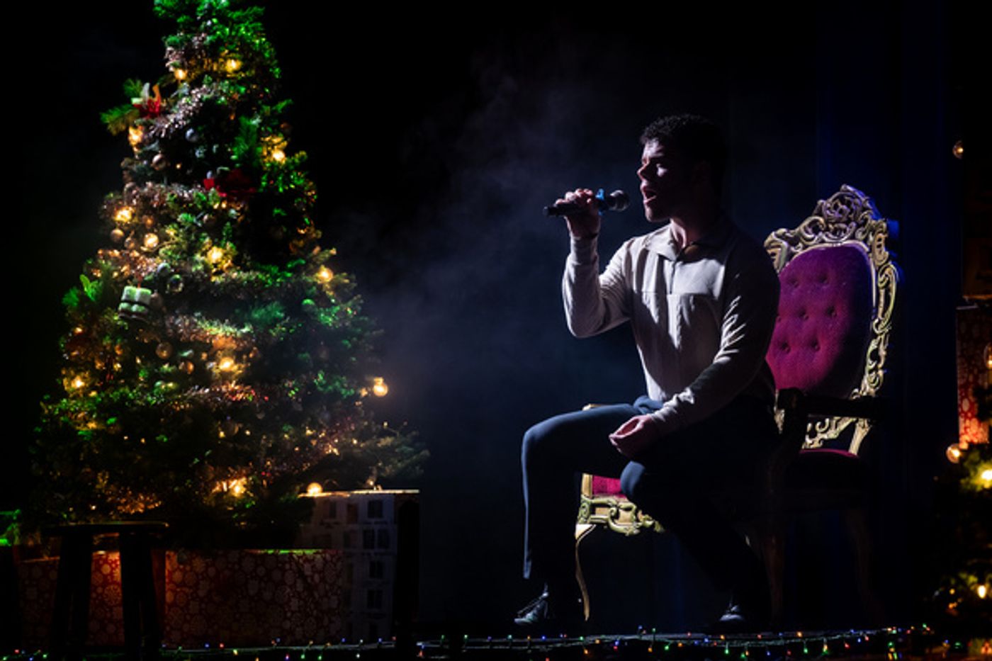 Photos: THERE'S NO PLACE LIKE HOME FOR THE HOLIDAYS Opens At The Actors Studio Of New Jersey  Image