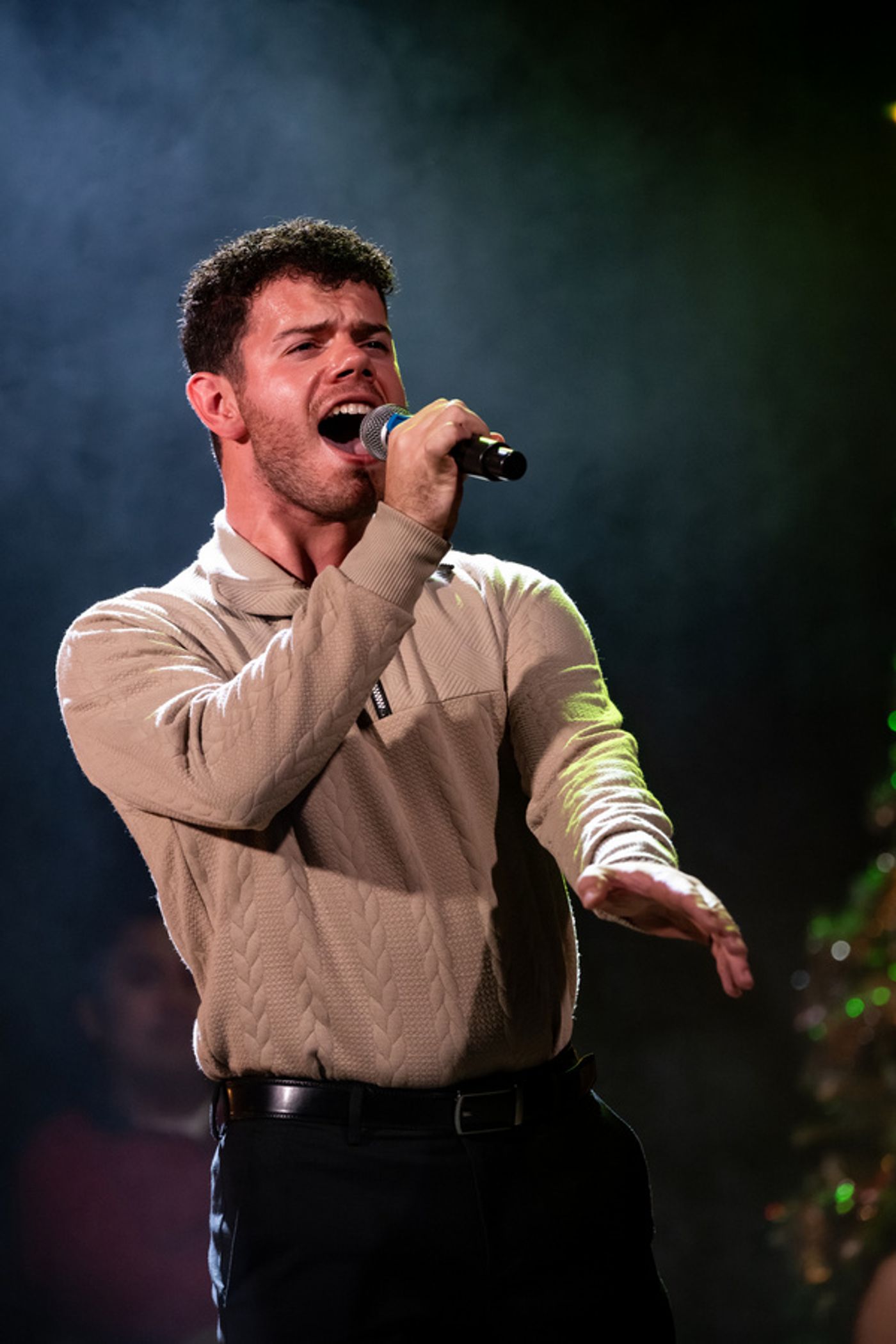 Photos: THERE'S NO PLACE LIKE HOME FOR THE HOLIDAYS Opens At The Actors Studio Of New Jersey Photos: THERE'S NO PLACE LIKE HOME FOR THE HOLIDAYS Opens At The Actors Studio Of New Jersey Image