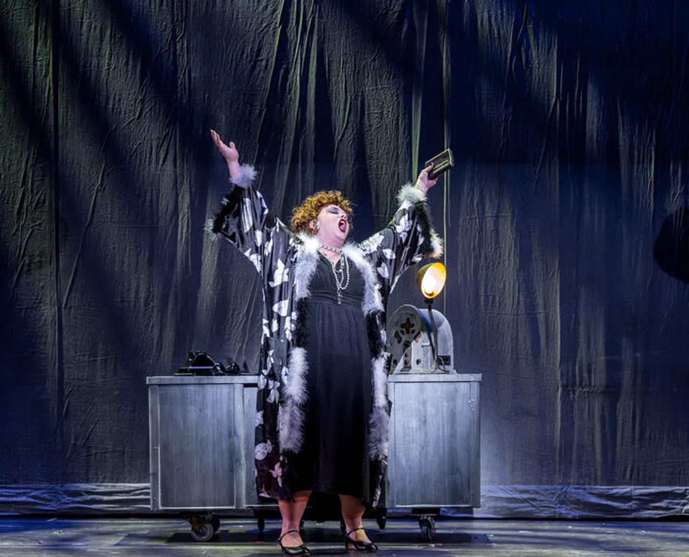 Photos: First Look at Music Theater Works’ ANNIE  Image