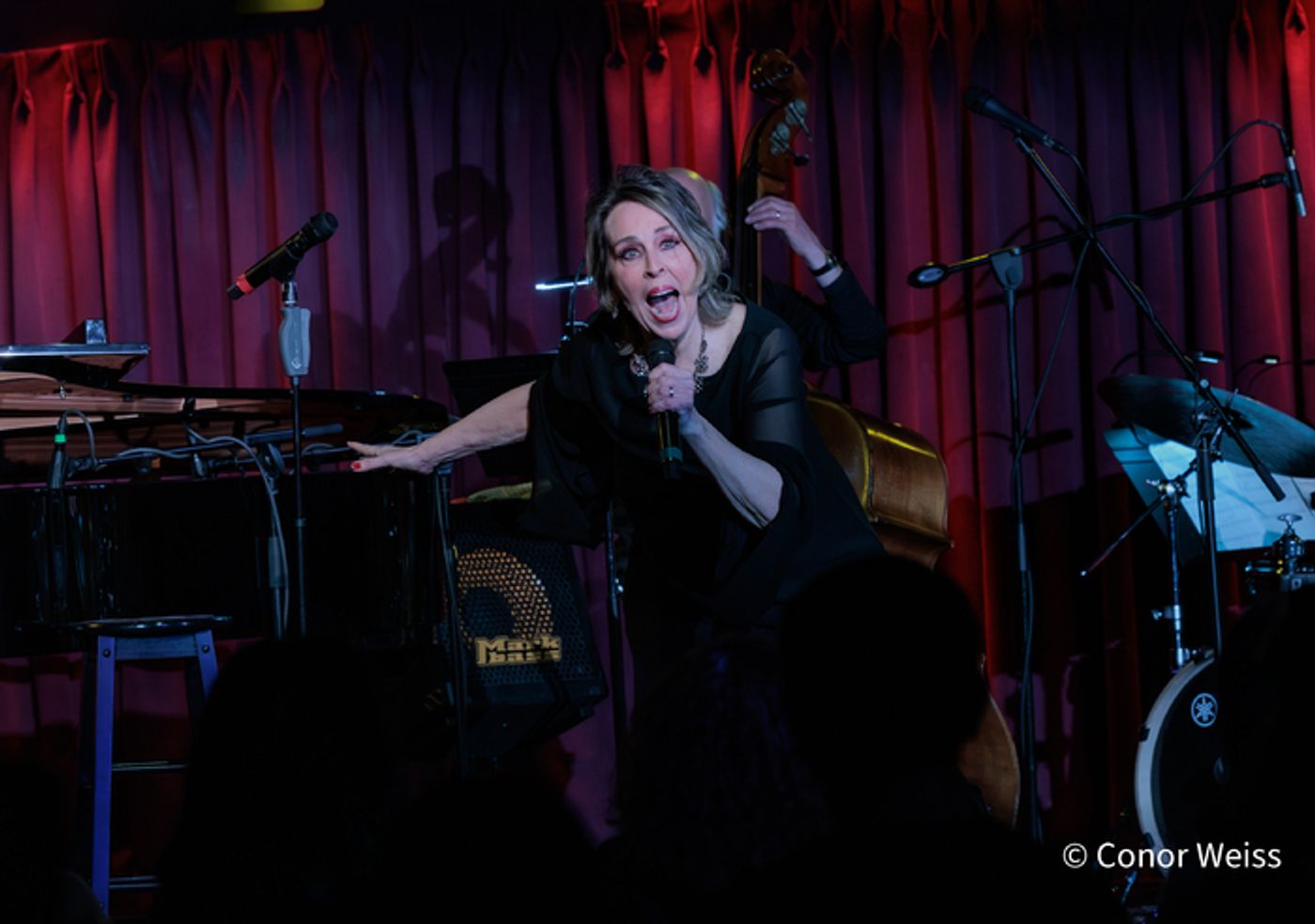 Photos: THE LINE UP WITH SUSIE MOSHER - December 16, 2025 at the Green Room 42  Image