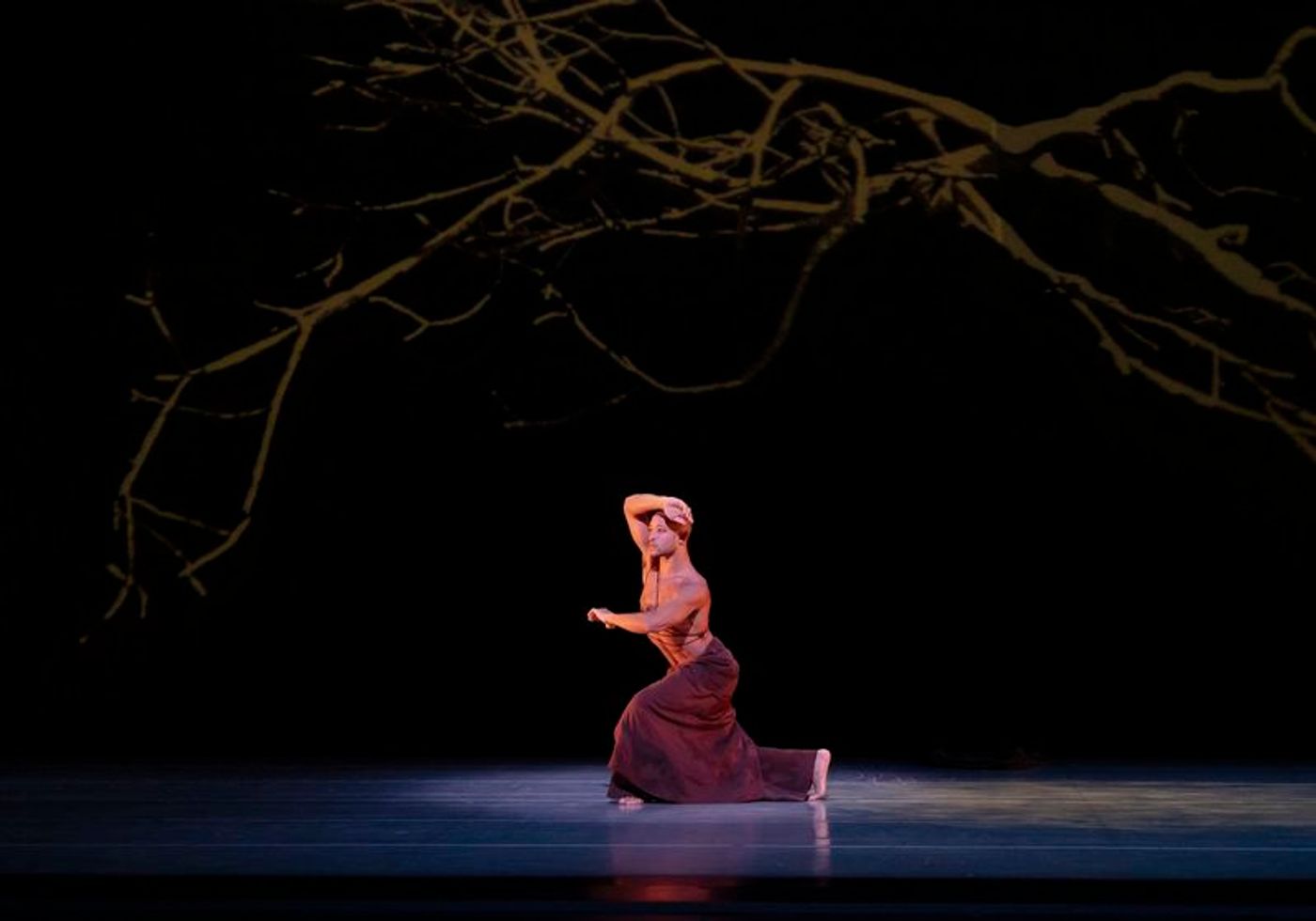 Review: ALVIN AILEY AMERICAN DANCE THEATER-A Fabulous “All New Premiere Night” Review: ALVIN AILEY AMERICAN DANCE THEATER-A Fabulous “All New Premiere Night” Image
